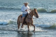 Horseback Riding on the beach with Paso Colombiano Show,Cartagena