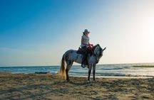 Horseback Riding on the beach with Paso Colombiano Show,Cartagena
