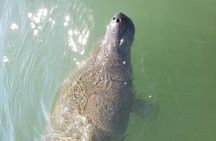Allens Aquatic Adventures
