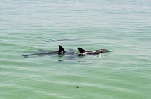 Allens Aquatic Adventures
