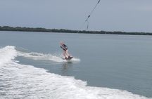 Allens Aquatic Adventures