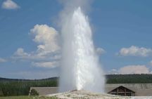 Yellowstone National Park - PRIVATE Full-Day Lower Loop Tour from W. Yellowstone
