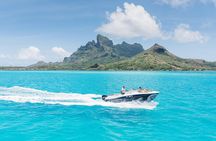 Private Tour: Bora Bora Lagoon Eco Snorkel Cruise - 3hrs or 6hrs