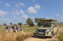 Half Day Lion Park tour from Johannesburg or Pretoria 