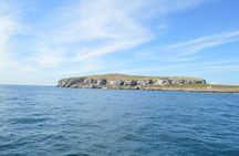 Islas Marietas Tour on Catamaran - Departures from Puerto Vallarta
