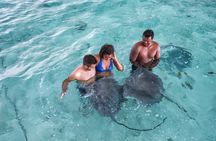Private Tour: Bora Bora Lagoon Eco Snorkel Cruise - 3hrs or 6hrs