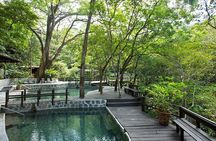Buena Vista Combo Tour: Ziplining and Hot Springs from Guanacaste
