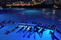 Manta Ray Night Snorkel