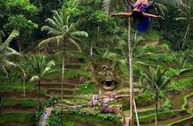  All inclusive Bali trips on your selection