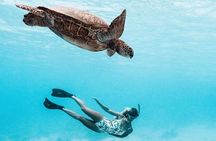 Private Boat Tour of Moorea Lagoon