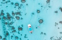 Private Boat Tour of Moorea Lagoon