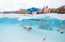 Private Boat Tour of Moorea Lagoon