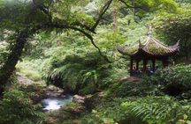 Mt Emei 1 day tour