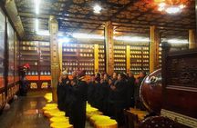 Mt Emei 1 day tour
