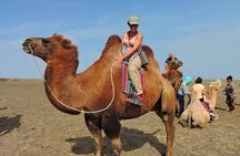 5 days Majestic Gobi Tour 