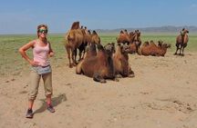 5 days Majestic Gobi Tour 