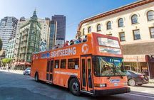 1 Day Hop-On Hop-Off Tour Plus Night Tour