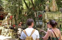 Fushimi Inari Hidden Hiking Tour