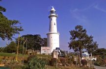 Kuala Selangor Fire Fly Tour - Sharing