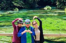 Blue Springs, Redwood Forest, Waiotapu Geothermal Park day Tour