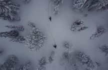 Northern Lights Tour With Skis Or Snowshoes in Pyhä