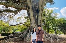  Auckland Highlights 4 Hrs city Tour