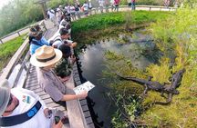 Private 4-hour Tour of Everglades from Miami Dade