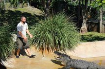 Private 4-hour Tour of Everglades from Miami Dade