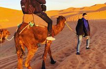 3 Days Sahara Desert Tour Fez to Marrakech Via Merzouga