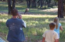 3 Hour Off-Road Sunset Safari to Grand Canyon with Entrance Gate Detour 