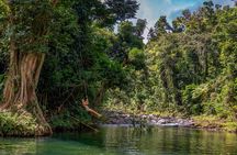 Yunque Rainforest River Rope Swing with Waterslide and Beach Tour
