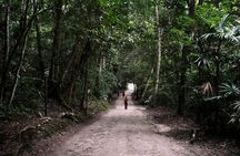 Tikal and Yaxha Exclusive Private Tour from Flores