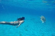 Curaçao Nature Lovers Tour