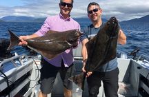 Ketchikan salmon and halibut fishing charter