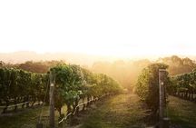 Mornington Peninsula 2-6 guests Lunch Rare Hare or Merricks General Wine Store