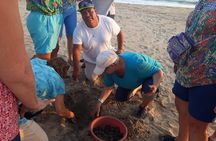 Baby Turtle Release in Coyote Escobilla Beach