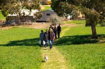 Walk, Taste, Graze - Experience at Pindarie 