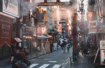 Private Yokohama Tour - History, Culture and Food