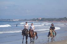 Private Bali Horse Riding In Seminyak Beach