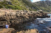 Cape Peninsula with a Marine Biologist