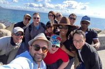 Cape Peninsula with a Marine Biologist