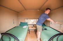 Uluru, Kata Tjuta and Kings Canyon Camping Safari from Alice Springs