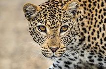 1 Day tour of Lake Nakuru National Park