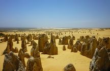 Pinnacles Desert Private Tour