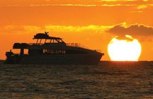 San Diego Dolphin Watch Sunset Cruise from Mission Bay