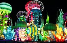 Glow Garden Tickets with Transfers