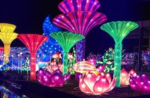Glow Garden Tickets with Transfers