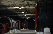  Cricova underground Winery - with wine tasting 