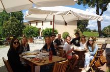 4 Wines Tasting with 2 Tuscan Cheeses & Tour at the winery