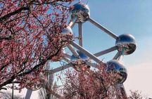 Private 4-hour Walking Tour of Brussels with official tour guide